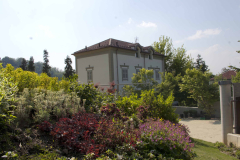 Foto-1