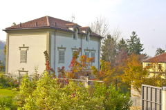 Foto-5